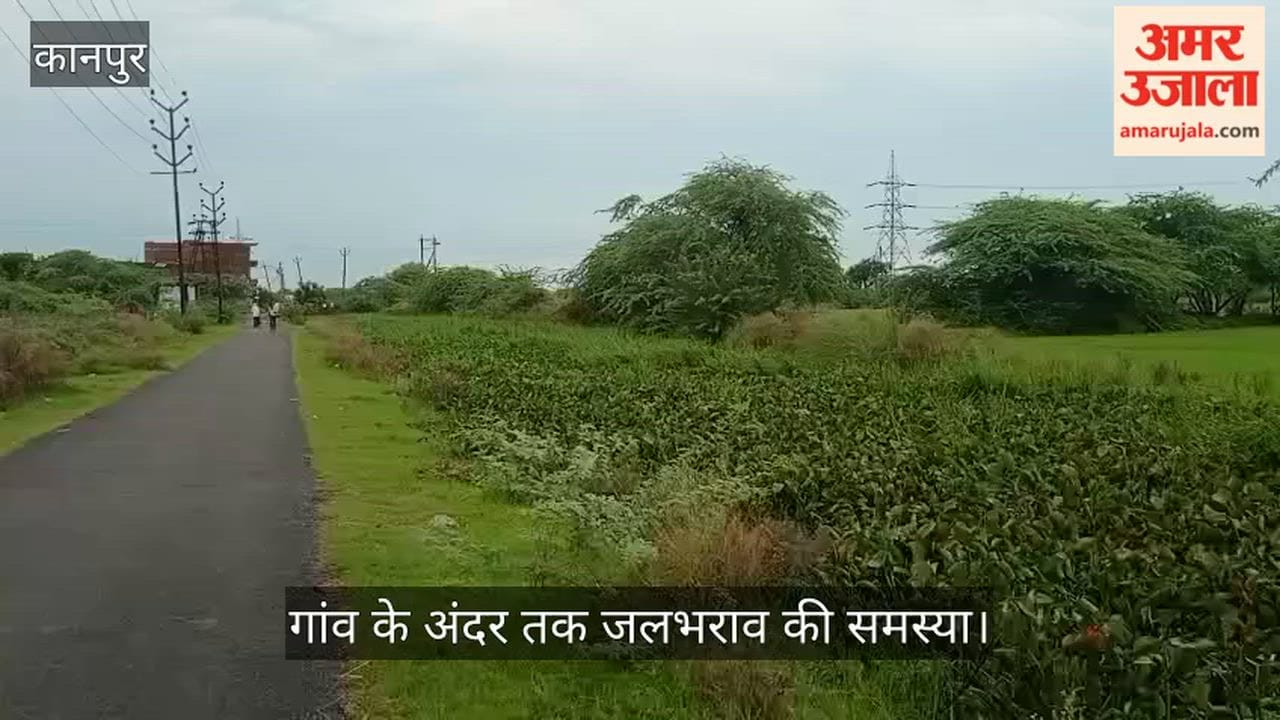 Rainwater Drain Serving 24 Villages Choked with Water Hyacinth, Uncleaned for 15 Years