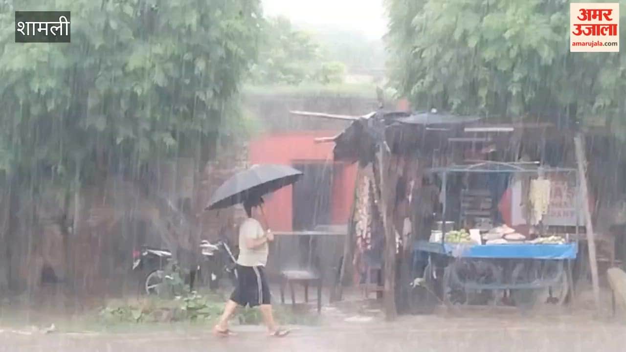 Shamli: Heavy Rain in Chausana Brings Relief From Humidity, Worries Farmers