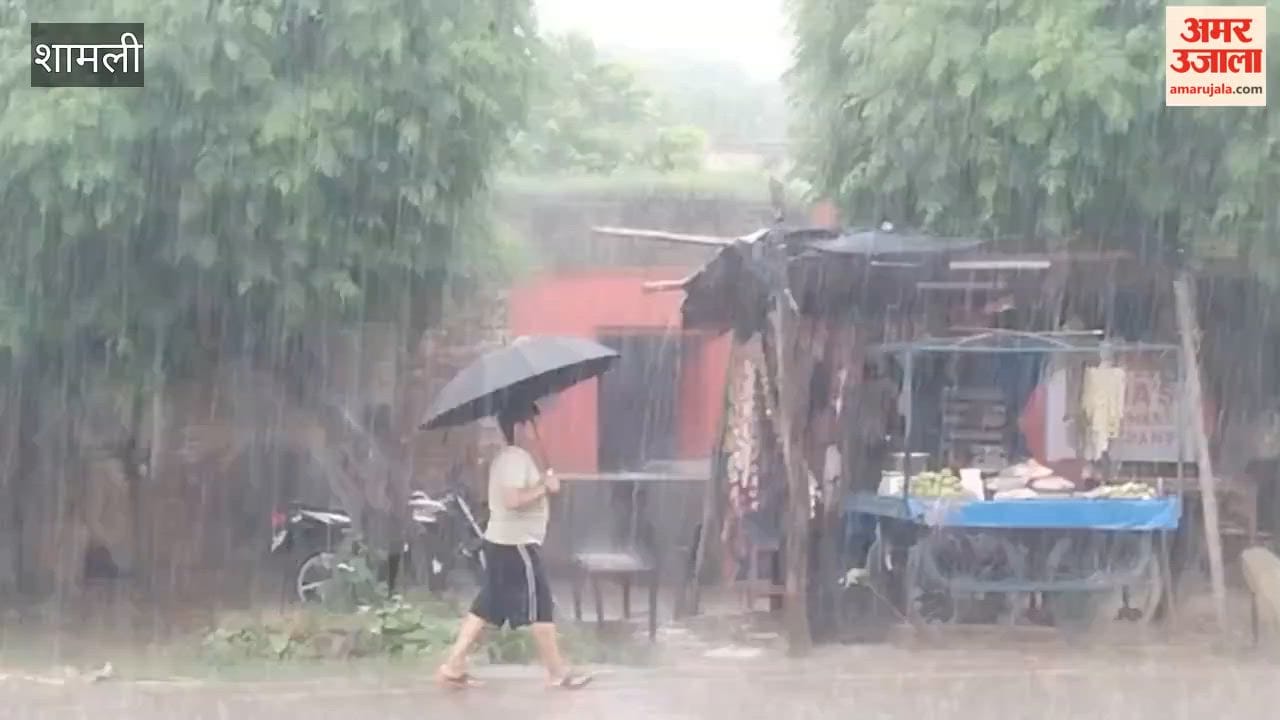 Shamli: Heavy Rain in Chausana Brings Relief From Humidity, Worries Farmers