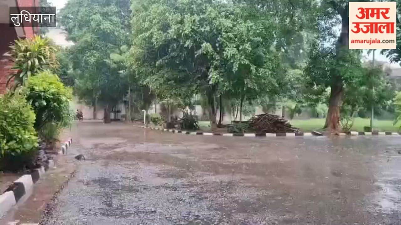 Rain brings relief from humid heat in Ludhiana