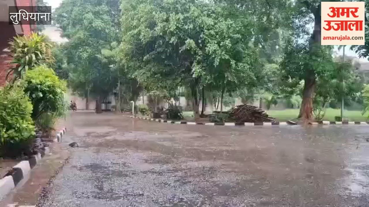 Rain brings relief from humid heat in Ludhiana