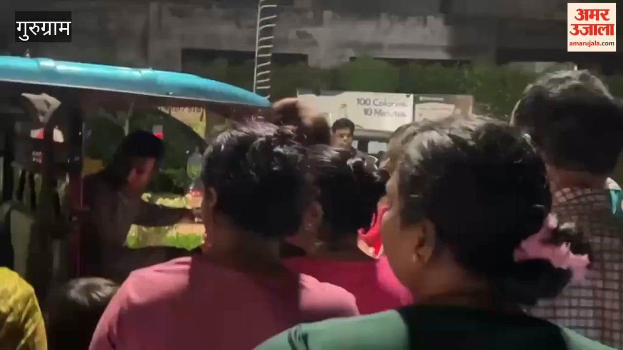 Dispute erupts over feeding stray dogs in Gurugram two women manhandled