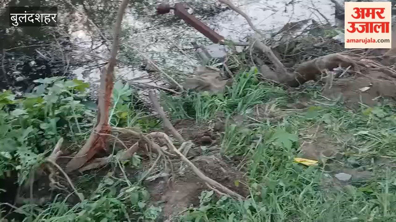 Car falls into ditch in Bulandshahr while trying to save a dog.