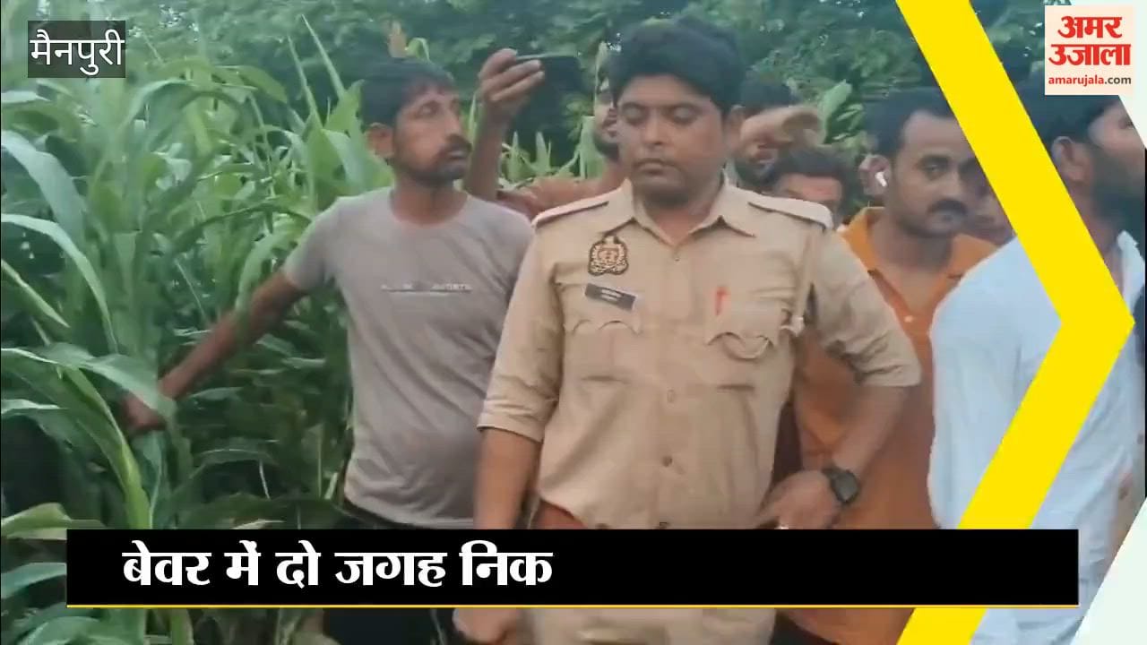 Pythons were found at two places in Bewar in Mainpuri