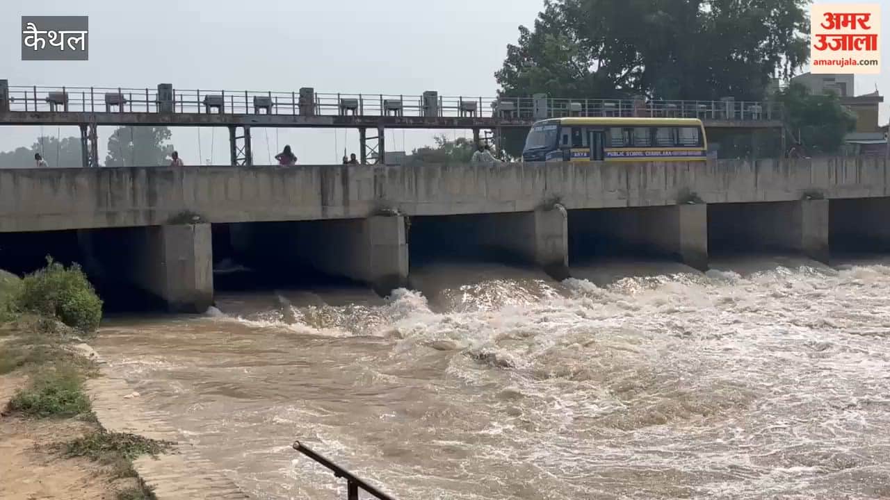 Youth drowns in canal in Kaithal; search operation underway
