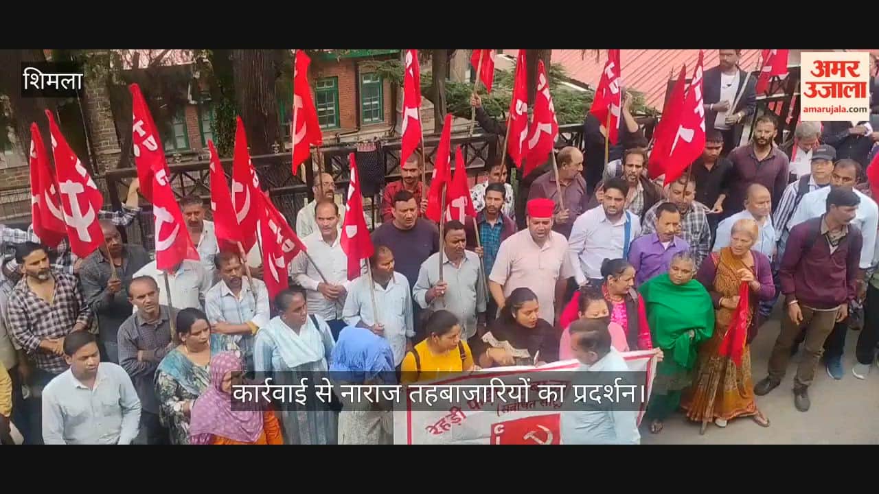 shimla street vendors protest municipal corporation action