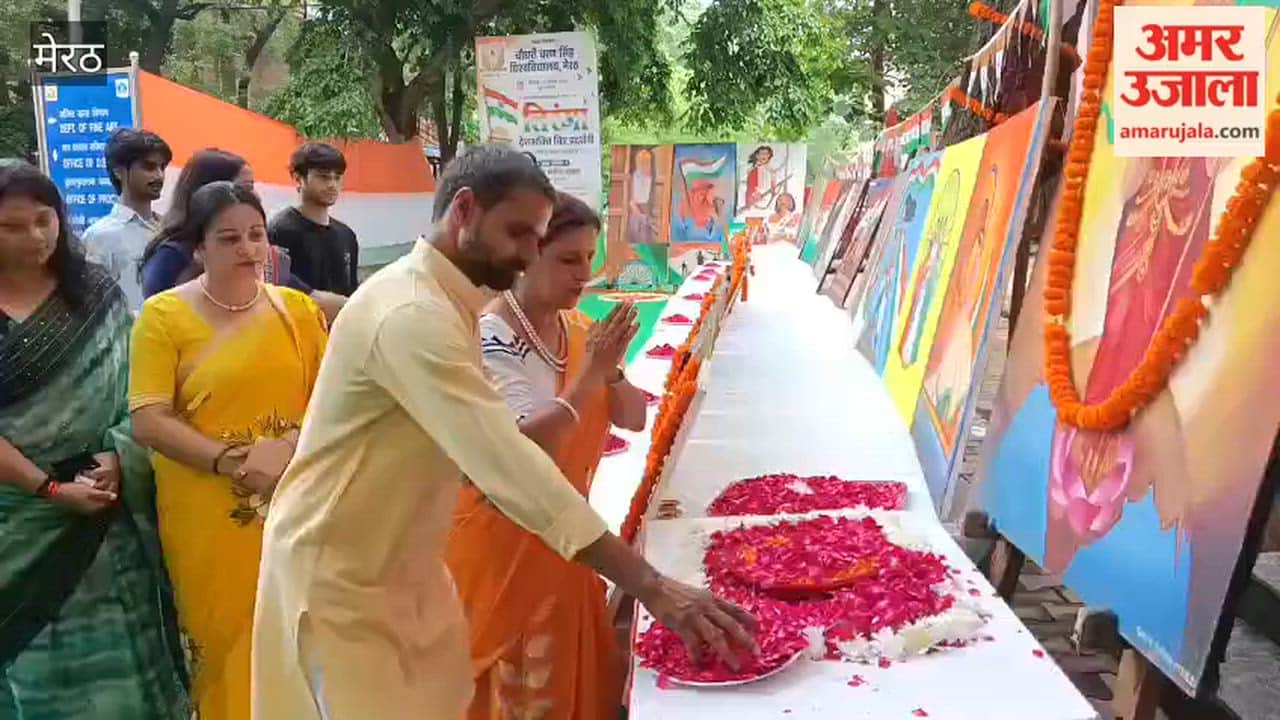 Meerut: Tiranga-Themed Patriotic Art Exhibition Held at CCSU