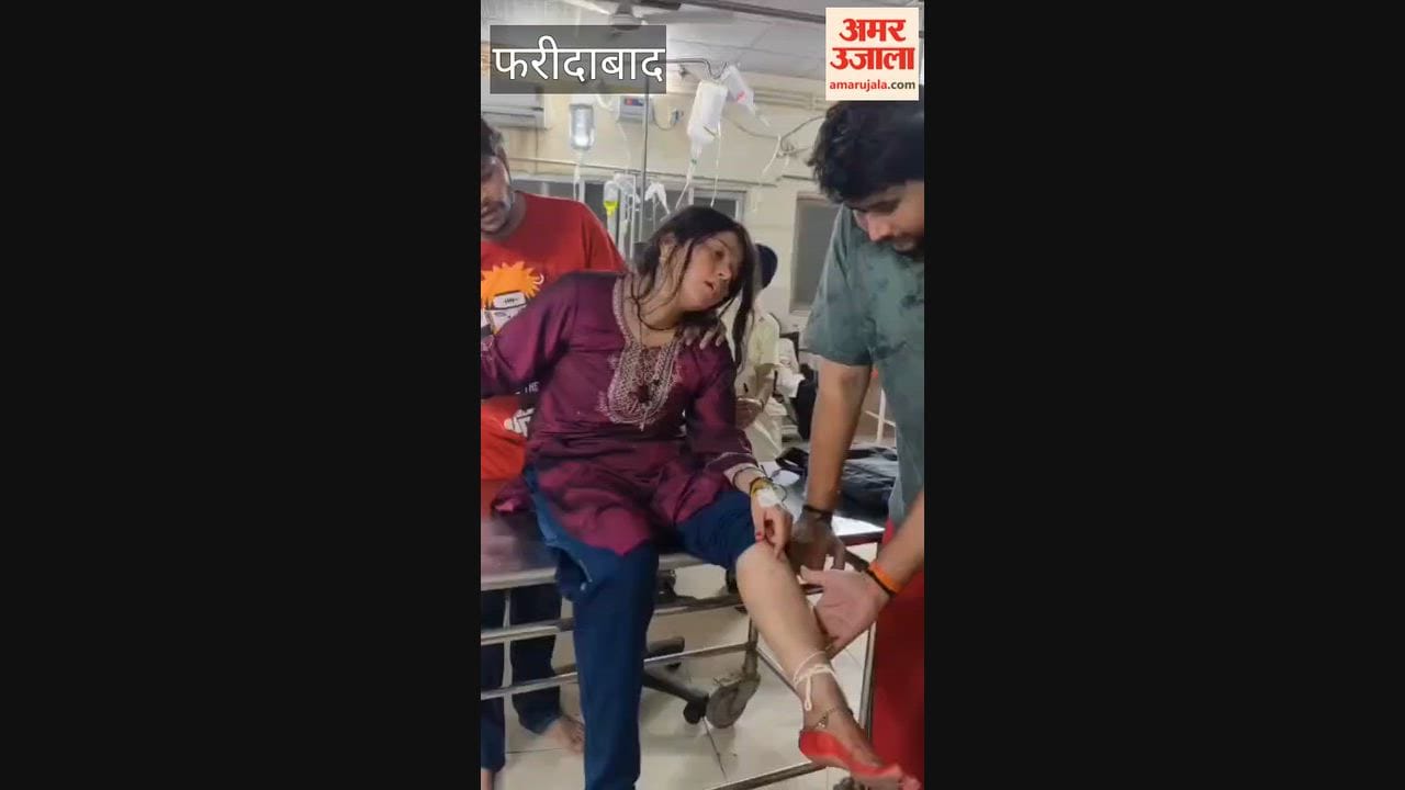 Faridabad Woman bitten by a snake inside her home
