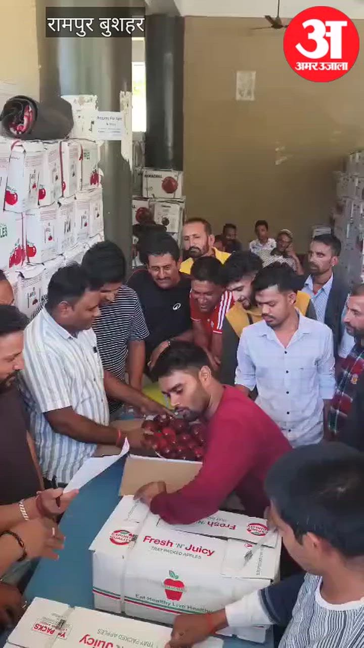 Apple Season 2026: किन्नौर में सेब तुड़ान शुरू, पाराला मंडी में 2400 रुपये में बिकी आधी पेटी