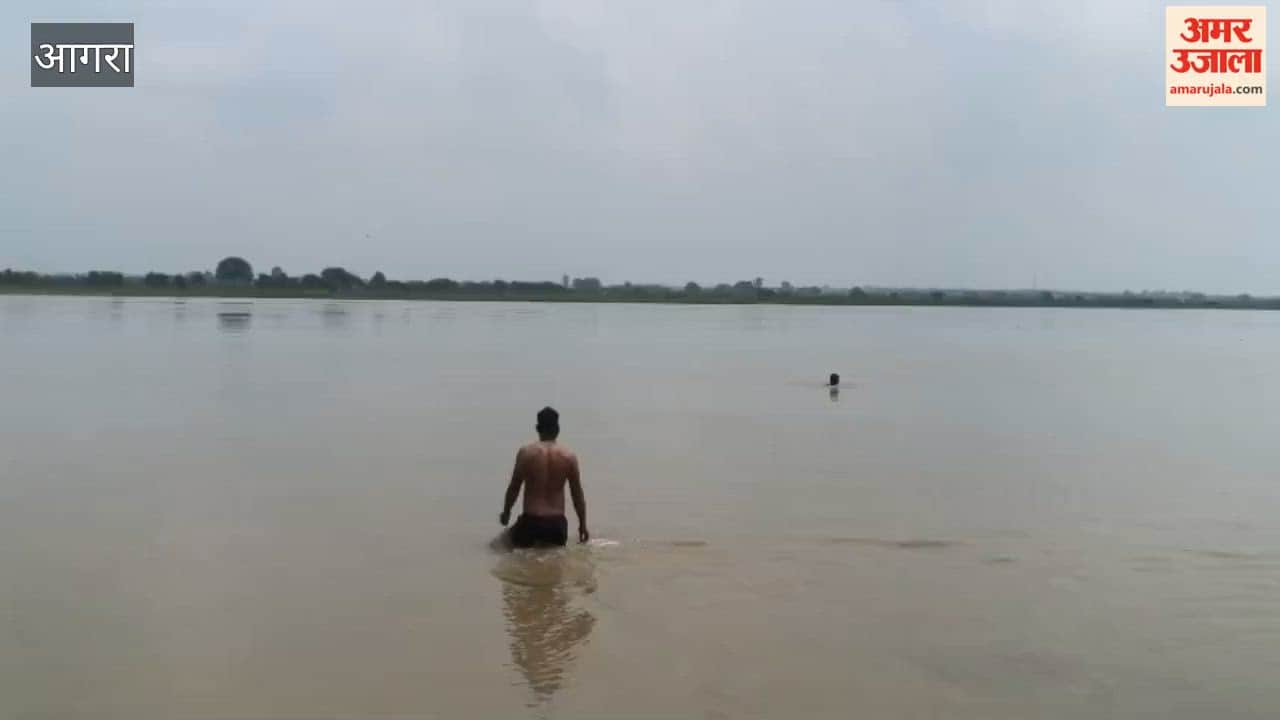 Woman who jumped into Yamuna found wandering in village