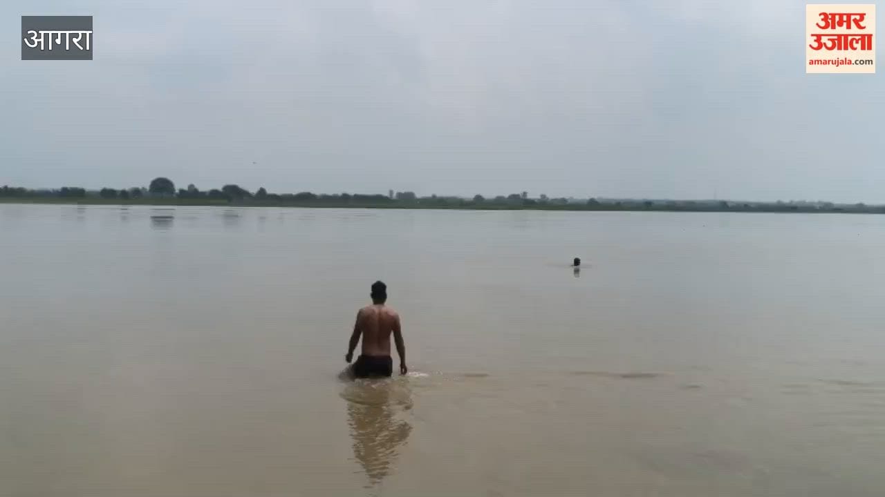 Woman who jumped into Yamuna found wandering in village