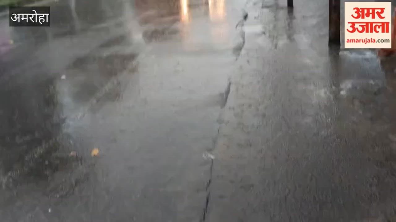 The unwavering devotion and reverence of the Kanwariyas are truly unique; chants of "Har-Har Bam-Bam" continued to resound even amidst the rain.