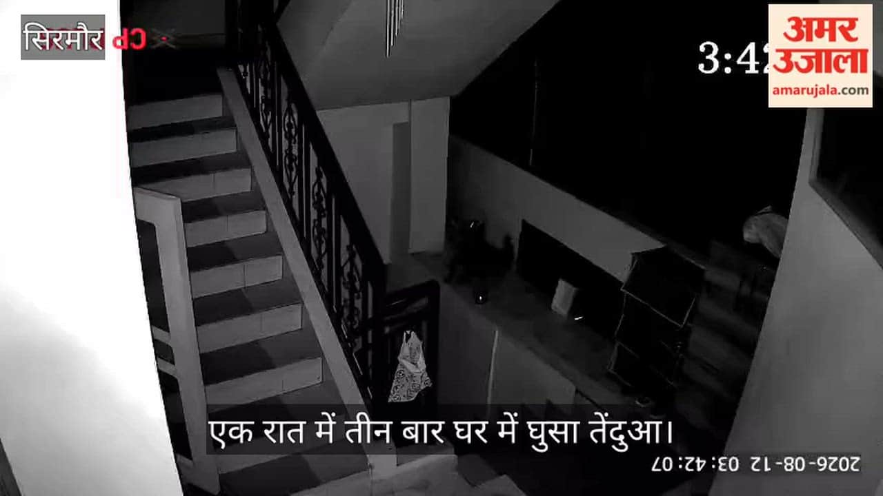 Leopard entered the house three times in one night, preyed on two puppies.