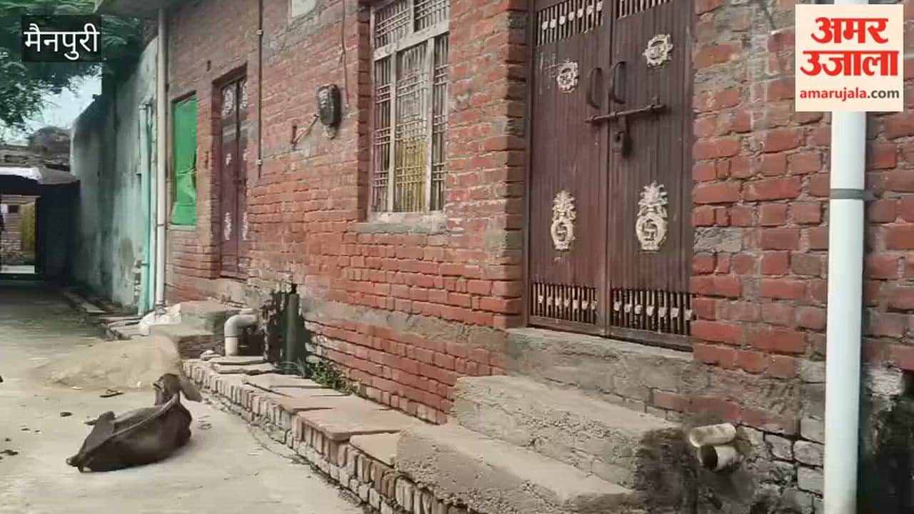 Widow Shot Dead Inside Her Home in Mainpuri Village