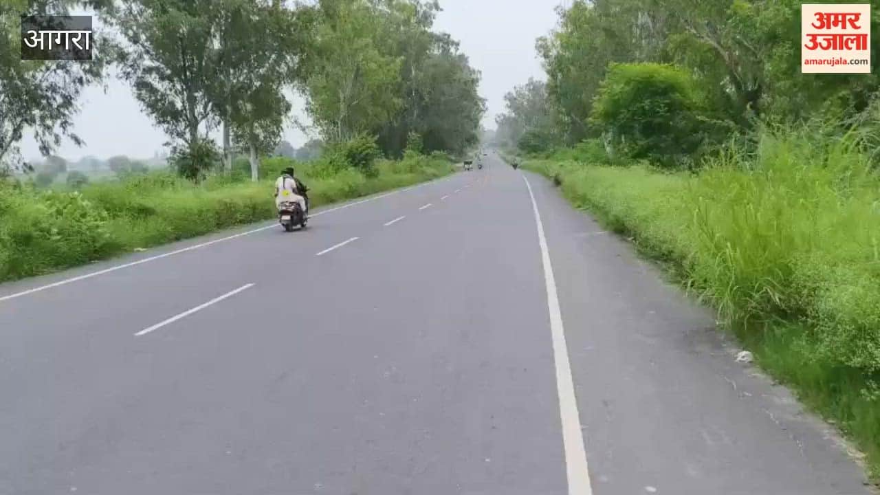 Tall Grass Hides Roadside Ditches, Raising Accident Risk on Agra-Jaipur Highway