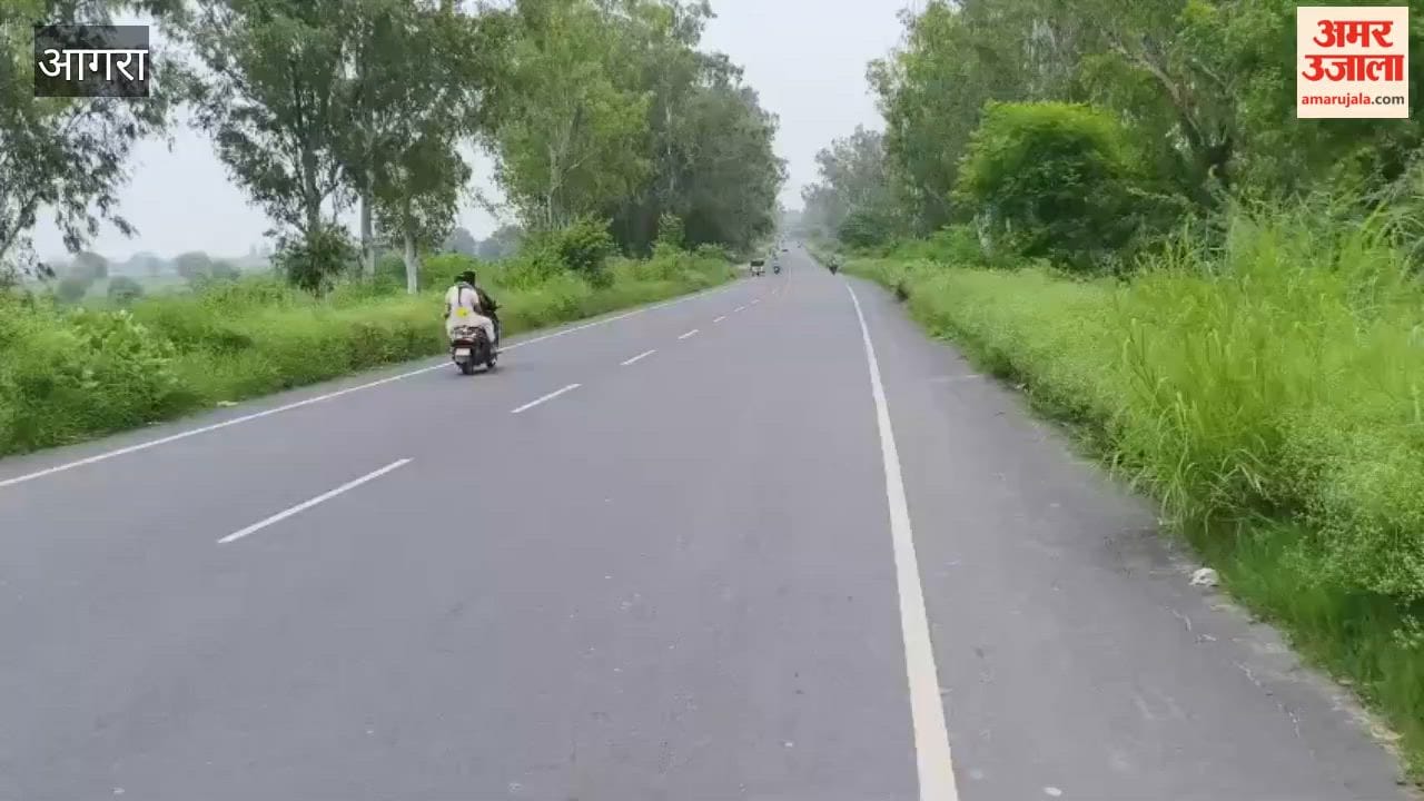 Tall Grass Hides Roadside Ditches, Raising Accident Risk on Agra-Jaipur Highway