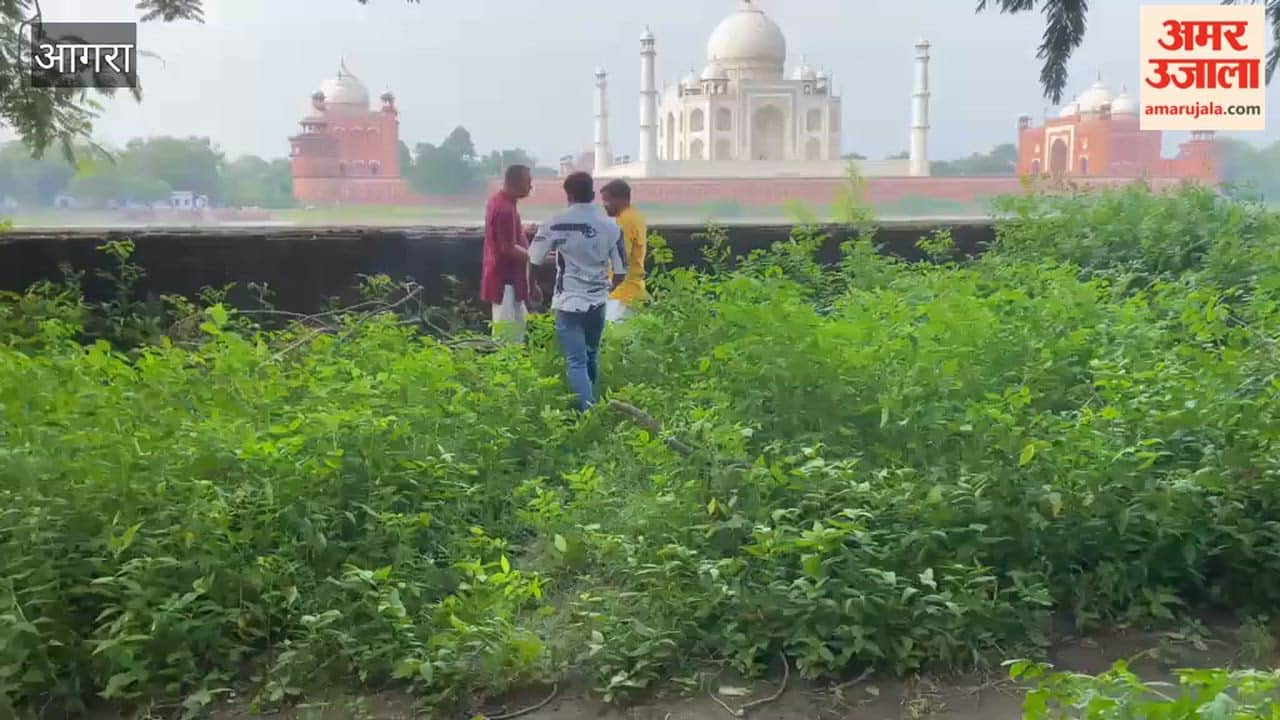 Shiva Worship and Ganga Jal Abhishek Performed Behind Taj Mahal