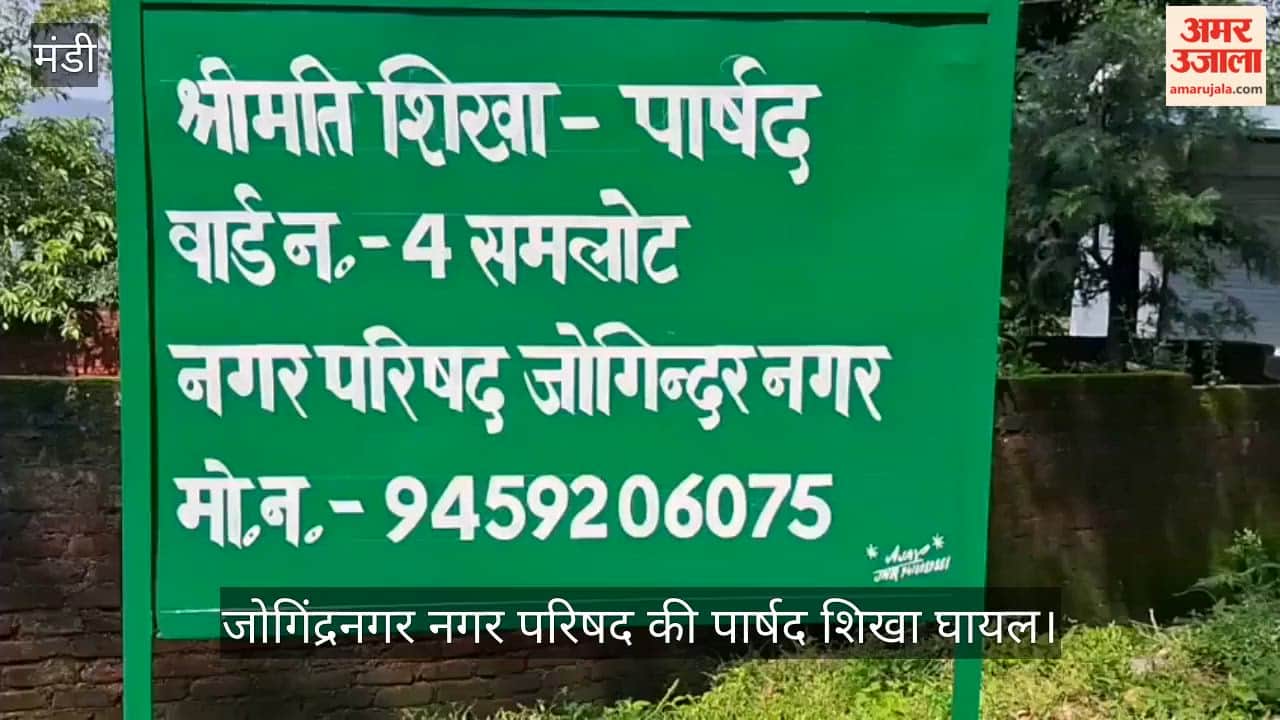 jogindernagar councillor shikha injured road accident referred tanda