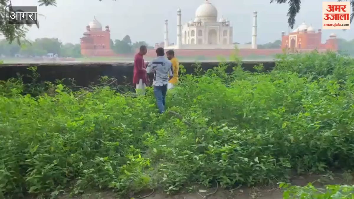 VIDEO: तेजो महालय को लेकर फिर गरजा आगरा, मेहताब बाग में आरती-गंगाजल से गूंजा शिव का जयघोष