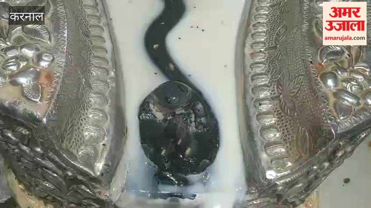 Karnal: A special and rare coincidence of Nag Panchami falling on the third Monday of the month of Sawan