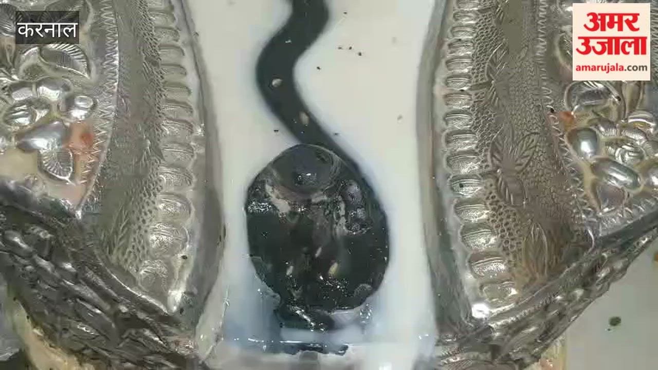 Karnal: A special and rare coincidence of Nag Panchami falling on the third Monday of the month of Sawan