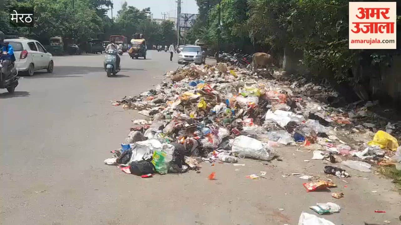 Meerut: Garbage being dumped near GTB; commuting has become difficult for students.