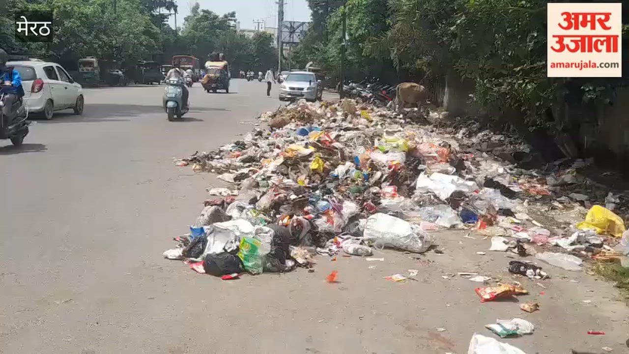 Meerut: Garbage being dumped near GTB; commuting has become difficult for students.