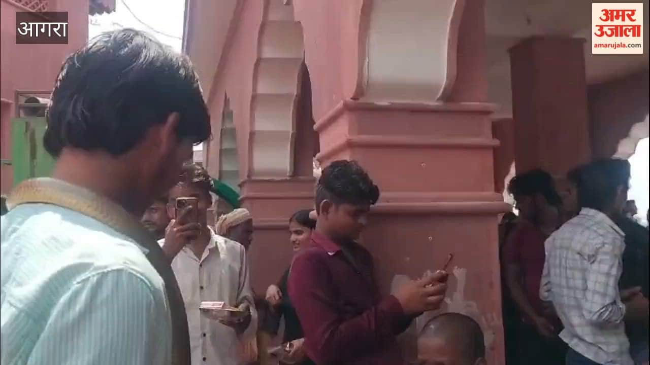 Horse-thrashing snake becomes selfie point at Kailash fair, money charged for wearing it around neck despite ban