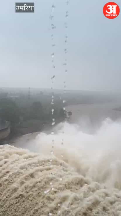 Yellow Alert in Umaria as Johila Dam Gates Shut Amid Heavy Rain