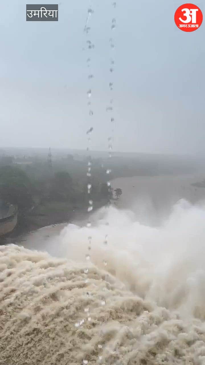 Yellow Alert in Umaria as Johila Dam Gates Shut Amid Heavy Rain
