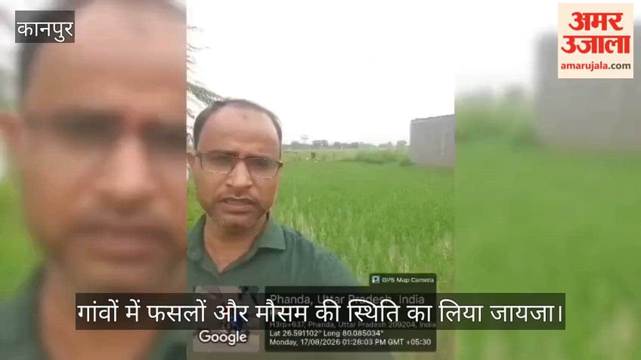 Kanpur: Rain Beneficial for Paddy Crop, CSA Weather Department Expert