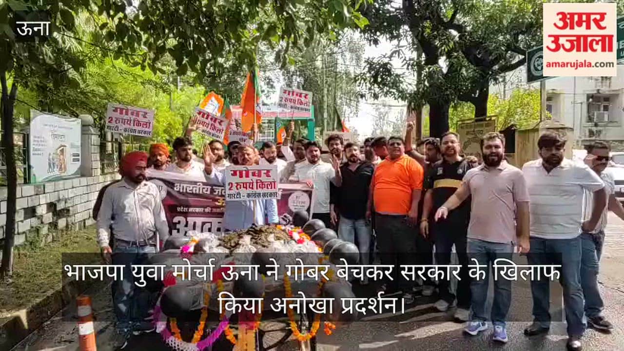 The Una unit of the BJP Yuva Morcha staged a unique protest against the government by selling cow dung.