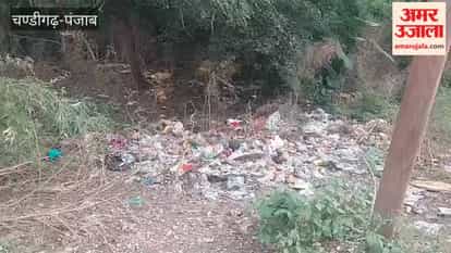 Demand to maintain smooth sanitation system even on government holidays