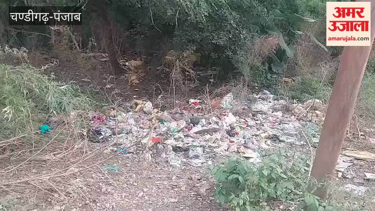 Demand to maintain smooth sanitation system even on government holidays