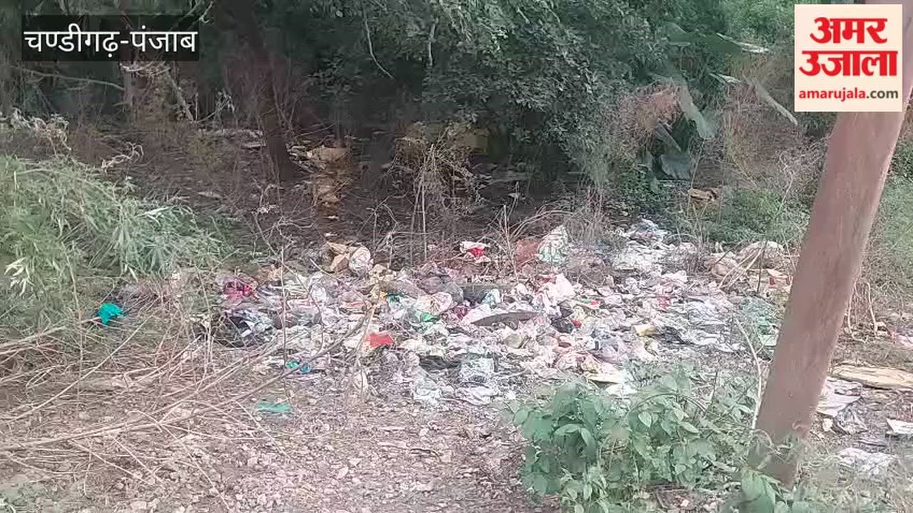 Demand to maintain smooth sanitation system even on government holidays