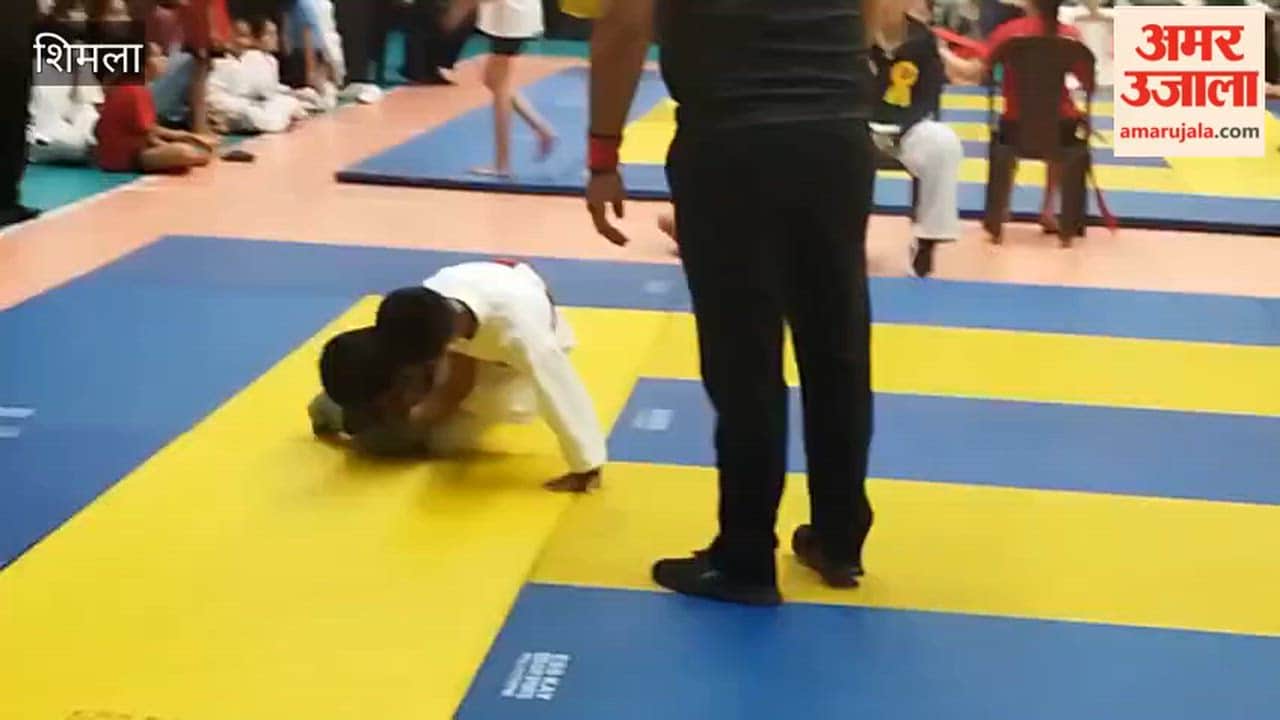 shimla grappling wrestling state championship 250 players