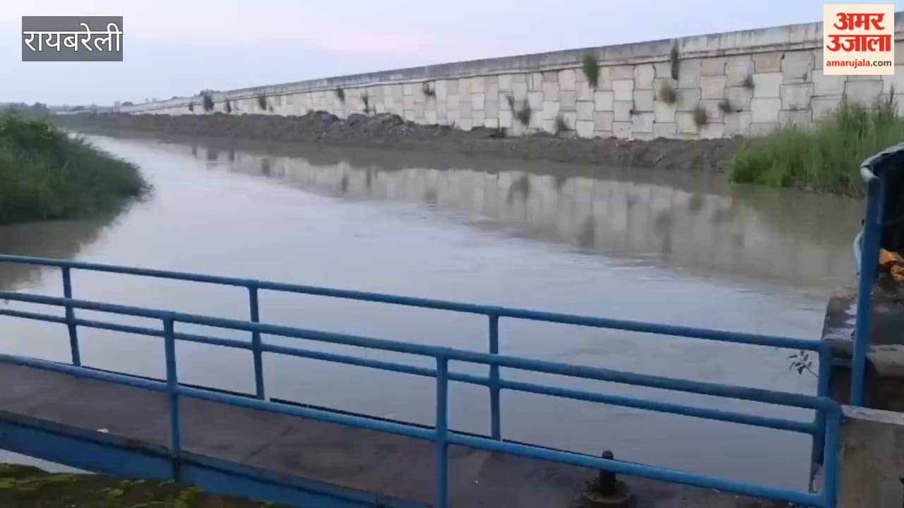 रायबरेली में शारदा नहर में युवक ने लगाई छलांग, तलाश जारी