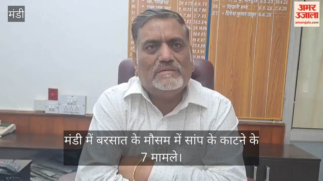 mandi snake bite seven cases health department advisory