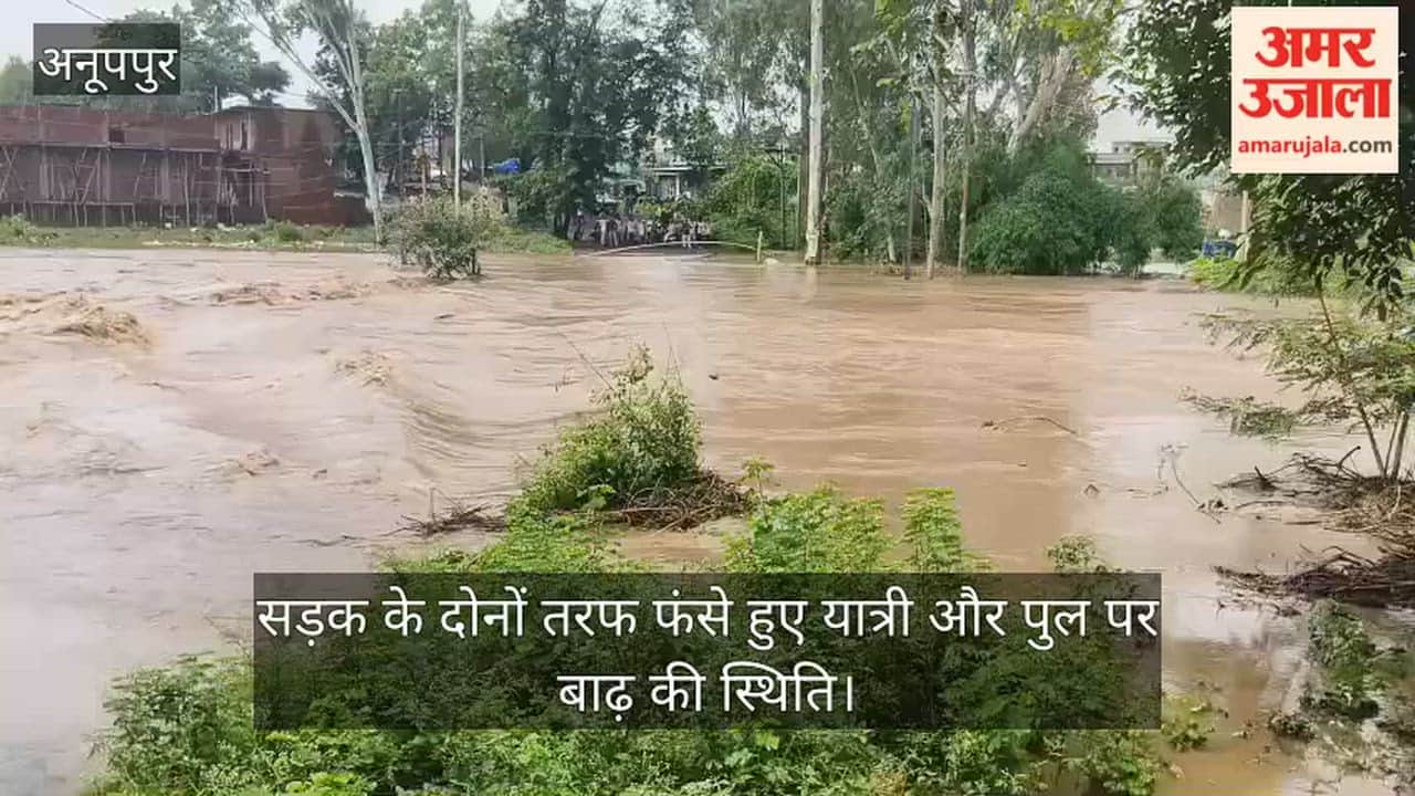 Rain becomes a disaster: Gijri drain overflows, Shahdol-Amarkantak road blocked