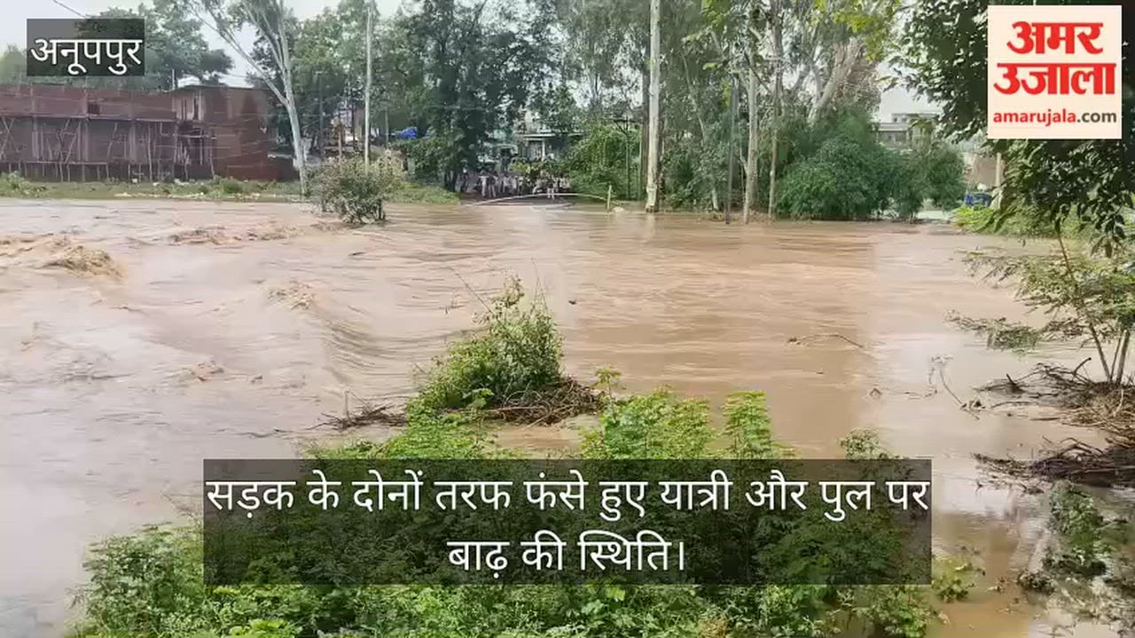 Rain becomes a disaster: Gijri drain overflows, Shahdol-Amarkantak road blocked