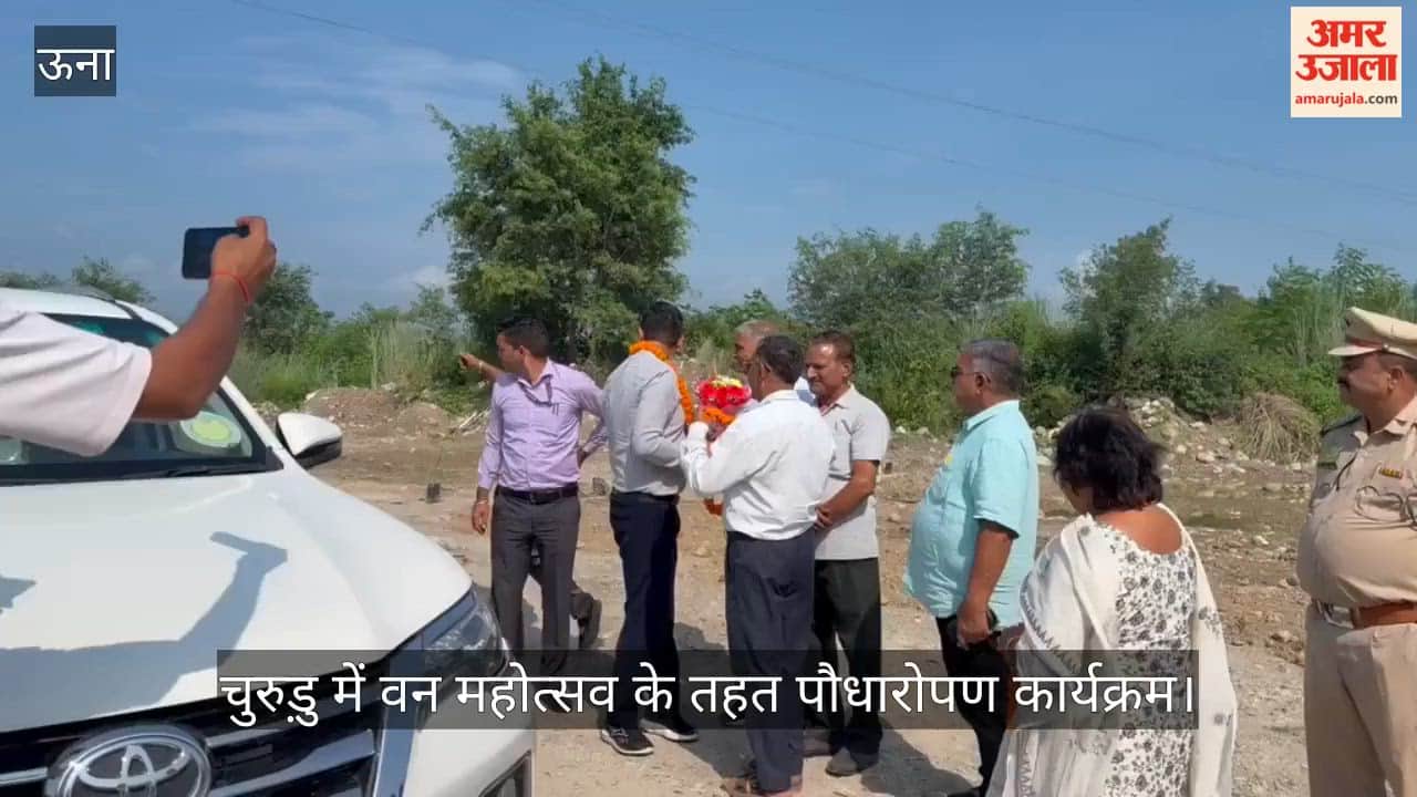 van mahotsav churudu sudarshan singh bablu tree plantation una
