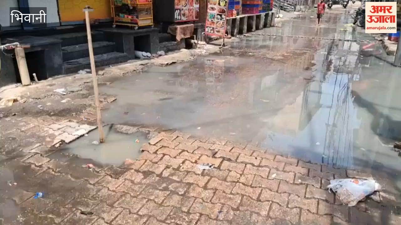 In Bhiwani, clogged sewers have compounded the public's woes alongside the garbage problem; waterlogging and broken drains at Harjikan Chowk have created hellish conditions.