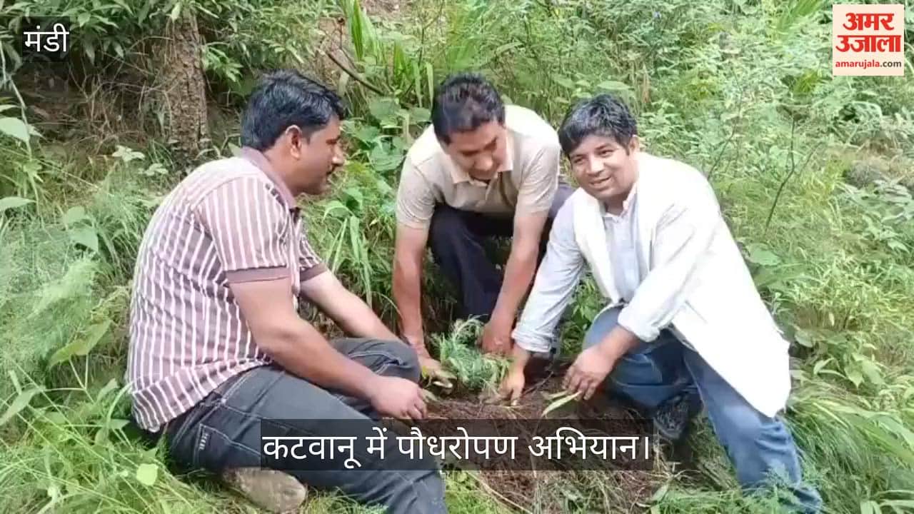 katwanu tree plantation naujawan sabha mahila mandal mandi