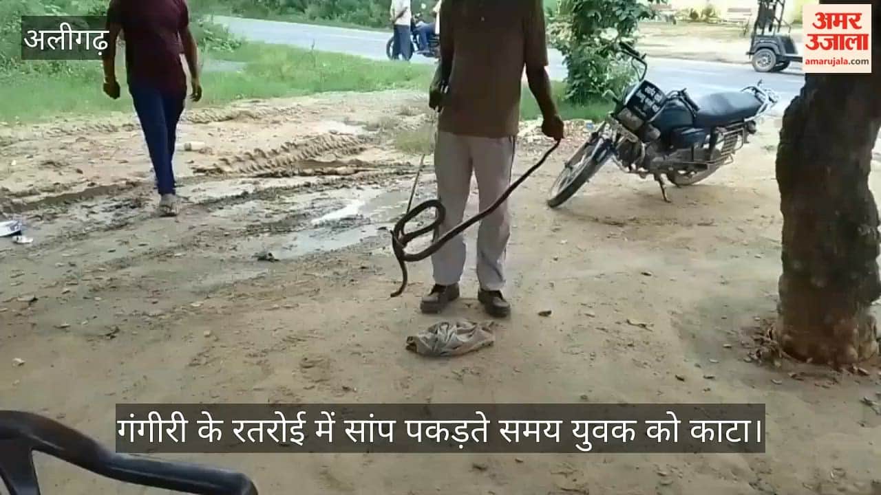गंगीरी के रतरोई में सांप पकड़ते समय युवक को काटा