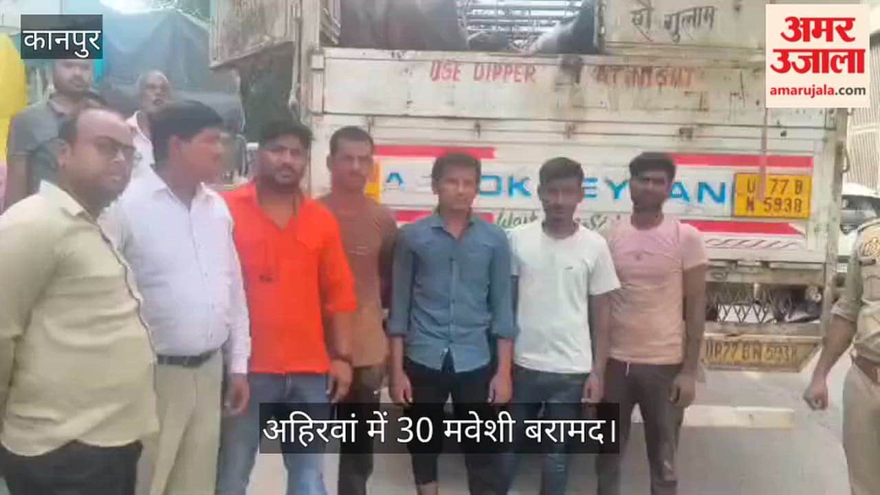 Kanpur: 30 Cattle Found Packed Inside DCM