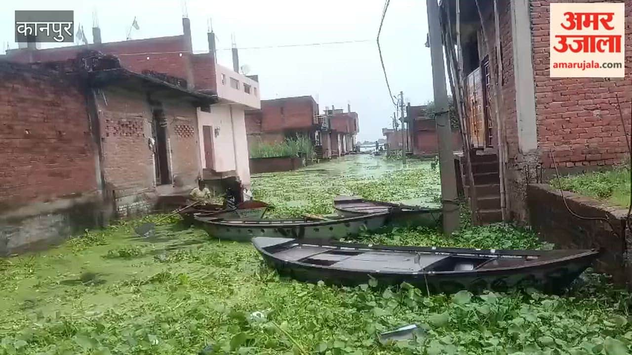 Shuklaganj: Ganga water level drops by 5 cm; hardships persist