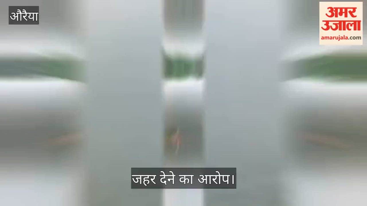 Auraiya Stir caused by discovery of 25 quintals of dead fish in a pond