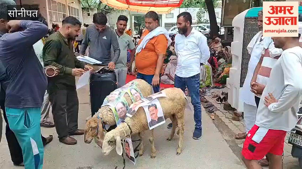 In Sonipat, striking employees took out a procession through the city, playing music and displaying posters of ministers on sheep.
