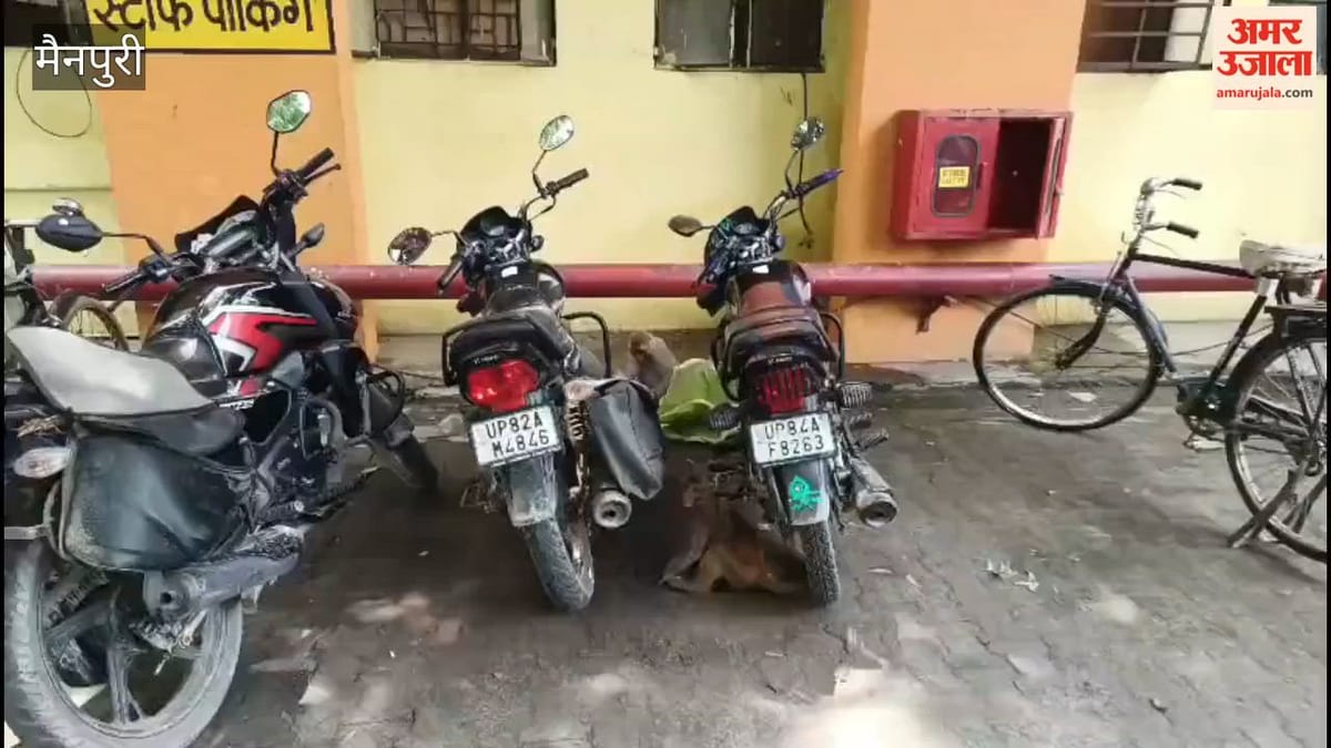 VIDEO: जिला अस्पताल में बंदरों का आतंक, मरीज-तीमारदार परेशान; हमले और सामान छीनने की बढ़ी घटनाएं
