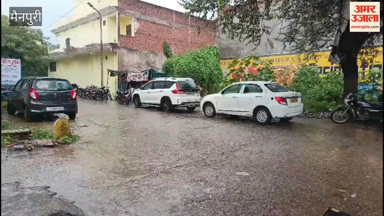 Heavy rains bring cheer to farmers, boosting paddy crop